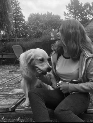 Le golden retriever d’une amie que j’ai gardé et dont je me suis occupee a plusieurs reprises un peu plus jeune