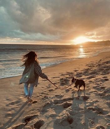 Balade avec mon chien à la plage