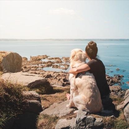 Balade avec le chien de mon amie