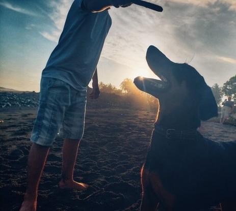 Léandre avec mon premier garde de chien