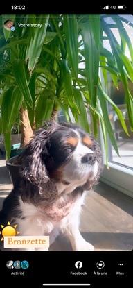 Au soleil il adore ça