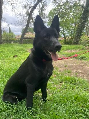 Paco