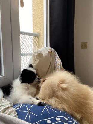 Lasko et naya qui se font des bisous