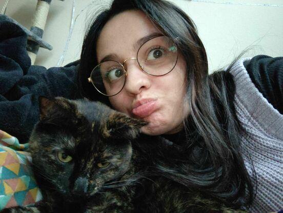 Ça c'est mon chat qui est ennuyé de mes photos haha