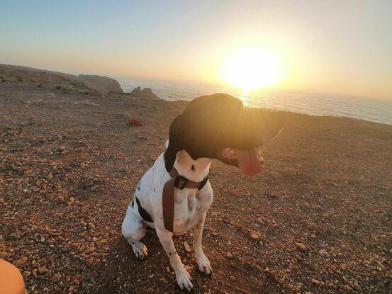Couché de soleil avec Jozy
