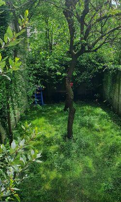 Notre petit jardin