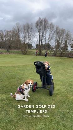 Promenade au golf ⛳️