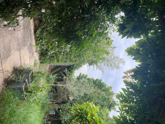 Jardin