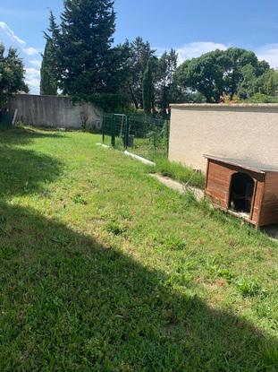 Mon jardin