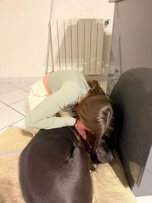 Voici et mon ancien chiens loulou et moi