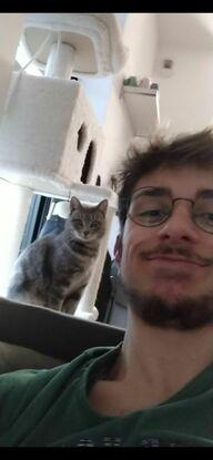 Avec mon Chat minverva