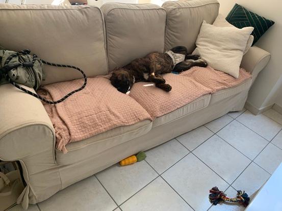 Un canapé très confortable