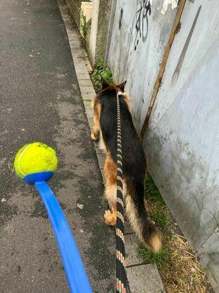 En direction du parc avec Jerry Lee