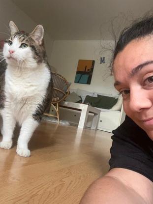 Cookie 😻