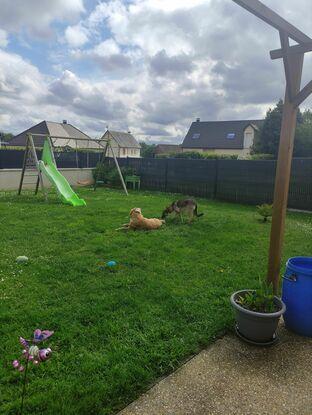 Mon jardin