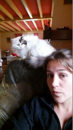 Mon magnifique chat