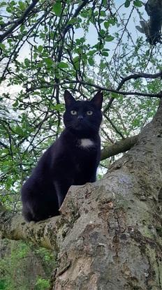 et Morticia