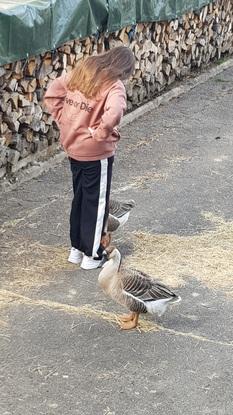 Mes oies Pince me et Pince Moi