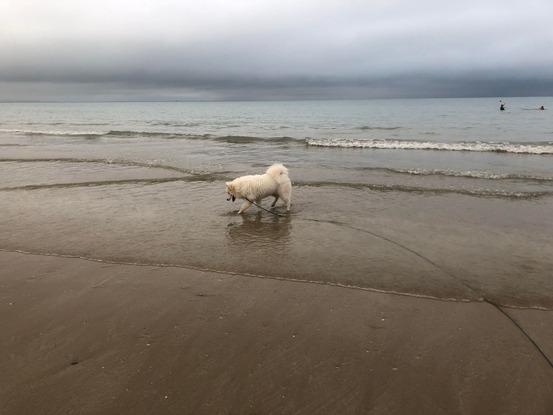 Balade à la mer, située à 10 minutes en voiture de notre domicile.