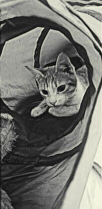 Titou