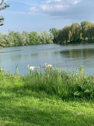 balade au parc