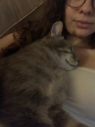 petit câlin