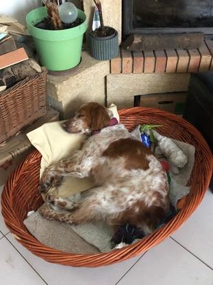 Nina en repos