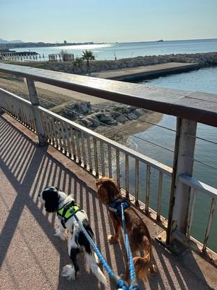 Promenade quotidienne