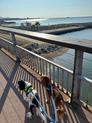 Promenade quotidienne