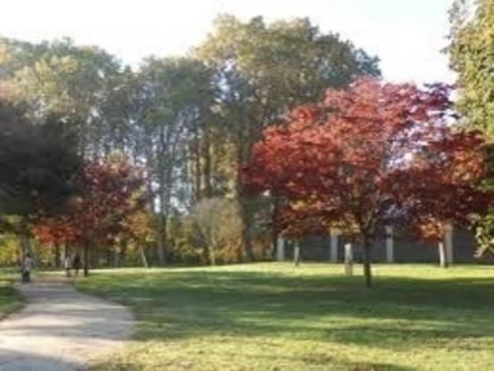 Parc mussonville 