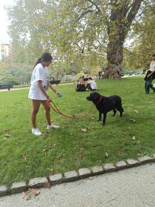 Au parc