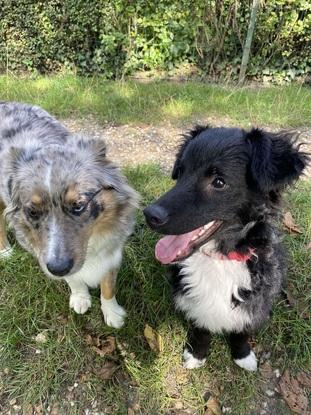 Roxy et split 