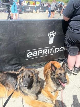 Avec sa maman au esprit dog