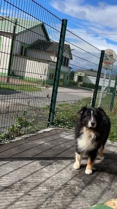 Devant chez moi