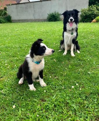 quand on venait d’adopter la petite dernière !
