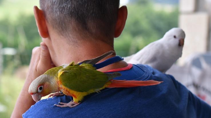 Angèle et kiwi