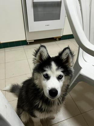 Cubby
