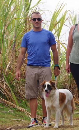 Le chien d'une amie en pension pendant une semaine