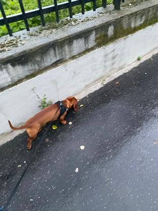 La promenade même sous la pluie !