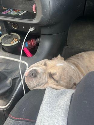 trajet en voiture 