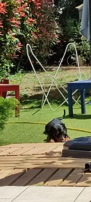 Repos dans le jardin