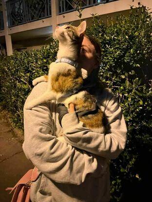 Sorti d’une petite minette