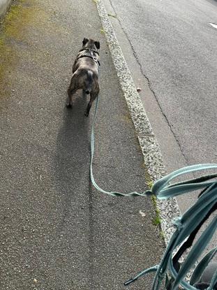 Un promenade bien mérité 👌🏽