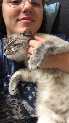 Un chat devenu très alaise 