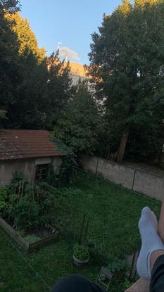 Jardin