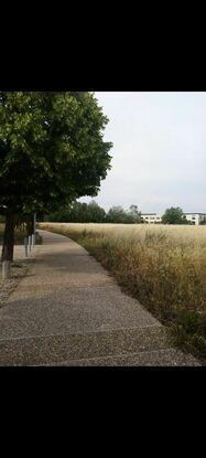 Lieu de promenade autour du logement