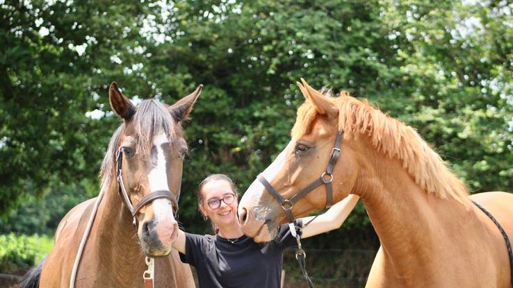 mes 2 chevaux