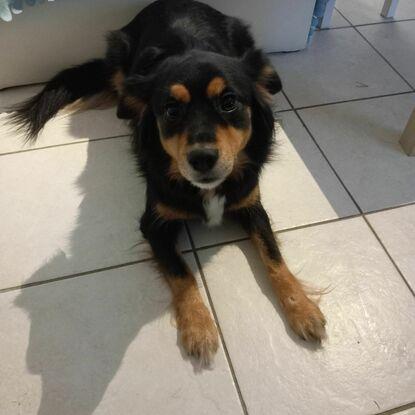 Paillette 3 ans 
