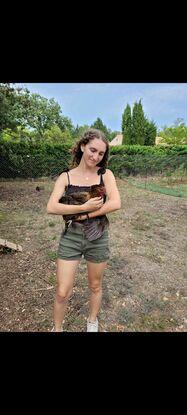 Avec Ginger