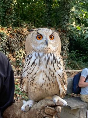 Rencontre avec un grand duc de Sibérie 
